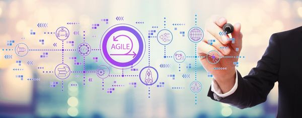 Agile Adoption and Transformation